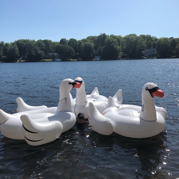 Meet your Posher, Cailey - Picture 1 of 1